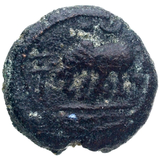 Copper Kasu Coin of Tirumalaraya of Vijayanagara Empire of Elephant type.