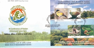 XI CONFERAENCE OF THE PARTIES TO THE CONVENTION ON BIOLOGICEL DIVERSITY 2012