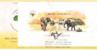 2ND AFRICA INDIA FORUM SUMMIT 2011