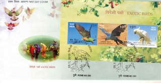 EXOTIC BIRDS PUNE 05-12-2016 COVE